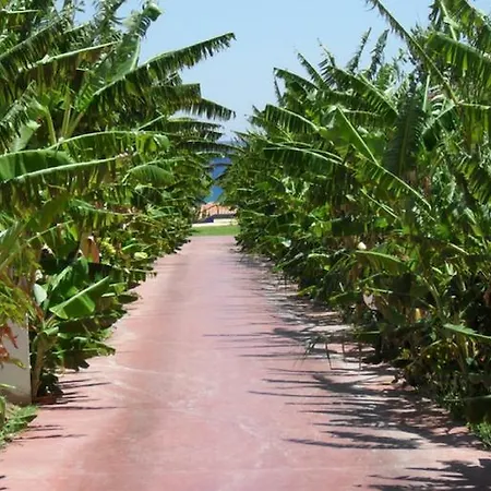Alfa Kolymbia