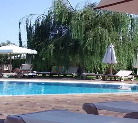 Alfa Kolymbia