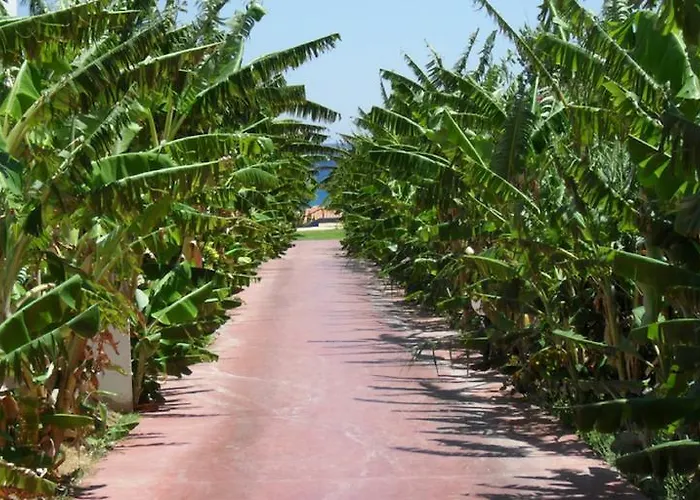 Alfa Κολύμπια